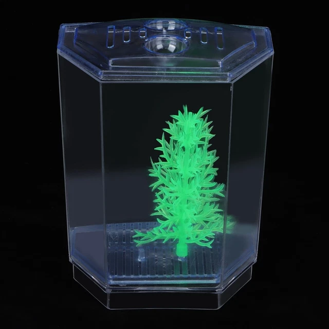 Mini Fish Tank Aquarium Transparent Water Plants Breeding Box Hatching Incuba GT 6