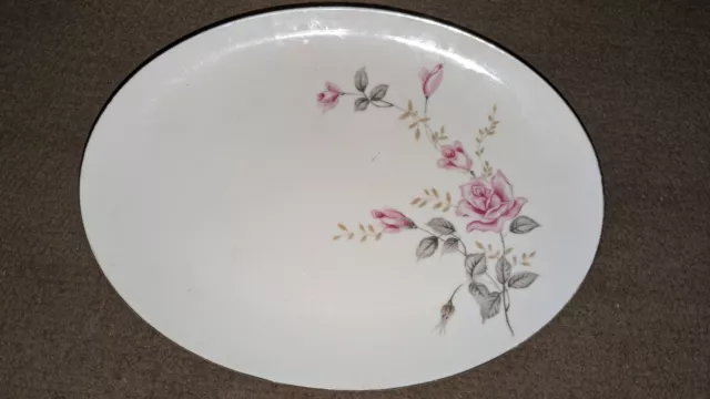Vintage CASTLECOURT Fine China Japan ROSE GLOW 12 1/2"  Platter Roses ~