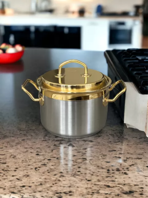 Stainless Steel 18/10 Saucepan/Casserole, 8 inch (20cm), Handle  & Lid, 3 Qt (2.75 L) Made in Italy, Compatible with Silga Milano: Home &  Kitchen