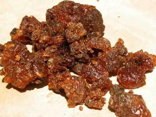 Commiphora myrrha Powder Incense Resin Sweet Myrrh Powder Tree Dhoop Bag  Hirabol