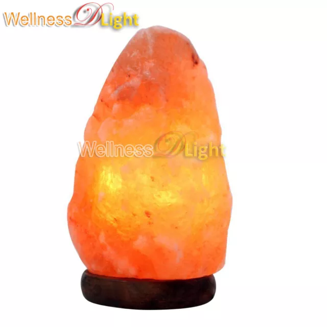 Wdl Natural Himalayan Rock Salt Lamp 2-3 Kg Ionic Air Purifier Free Cord Bulb