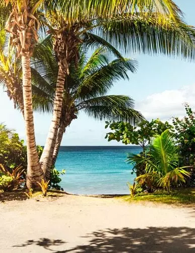 Club Wyndham Access -105,000 Points - Annual!