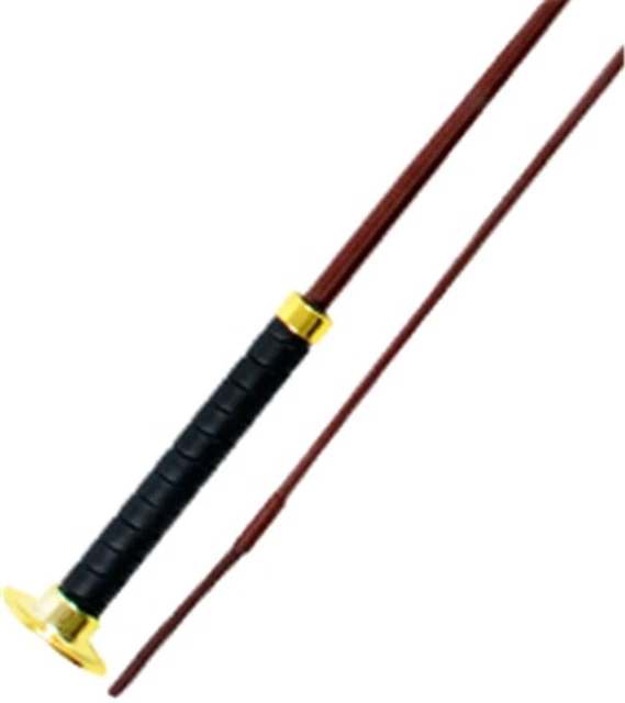 Jacks 1546-43 43.3 in. Dressage Whip - Brown