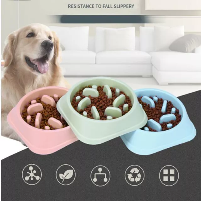 Dog Cat Pet Bowl Interactive Slow Food Feeder Healthy Gulp Feed Dish Large*New