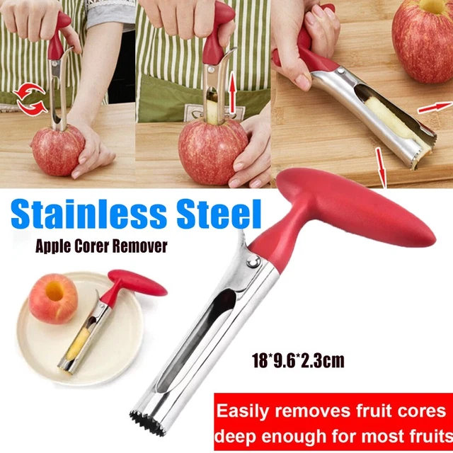 STAINLESS STEEL TWIST Apple Corer Remover Seed Handheld Fruit Core ...