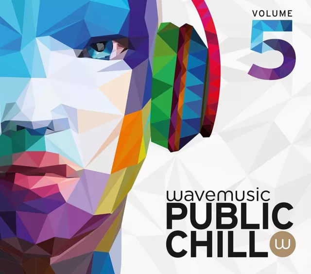 Public Chill 5 Wavemusic 2CDs 2015