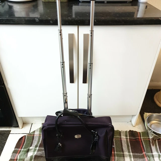 Jasper outlet conran suitcases