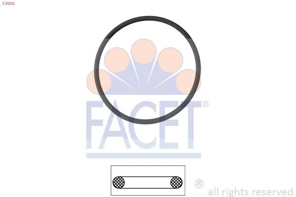 FACET Guarnizione Termostato 7.9550 per BMW per 5 Limousine (G30, F90)