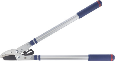 AMTECH giardino telescopico a cricchetto Anvil telescopici RAMO POTATRICE 3YR GARANZIA 