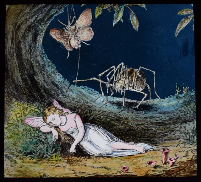 BLOB THE SPIDER NO5 C1890 ANTIQUE Magic Lantern Slide FAIRIES MOTH