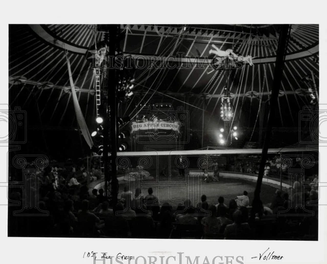 Press Photo Crowd watches Big Apple Circus - ctca11112