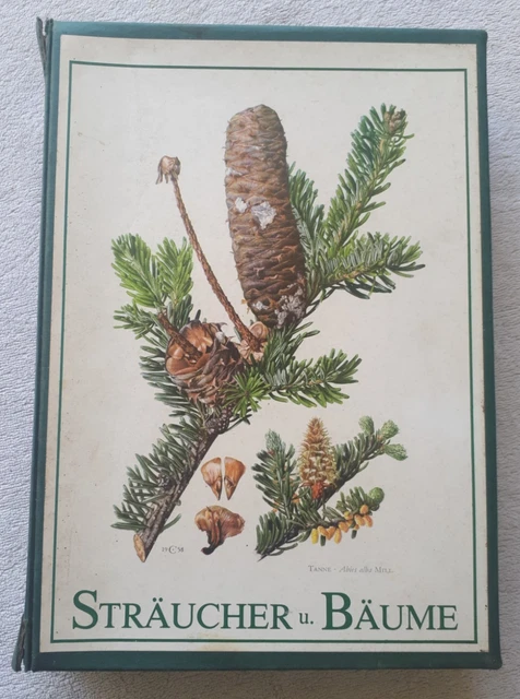 SAMMLUNG NATURKUNDLICHER TAFELN, Mitteleuropäische