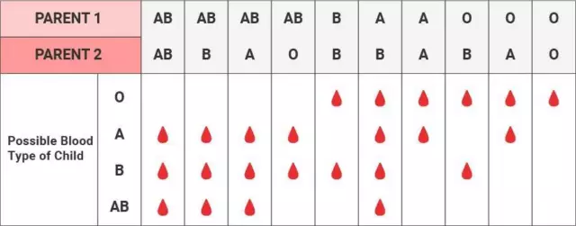 ABO RhD Home Blood Group Type Test Testing Kit CE Marked FREE SHIPPING 3