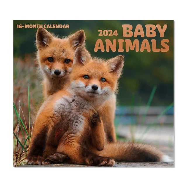 BABY ANIMALS 2024 Full Size Wall Calendar for Planning, Scheduling