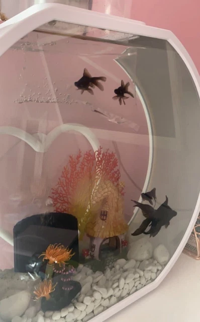 Fish Tank - White 2