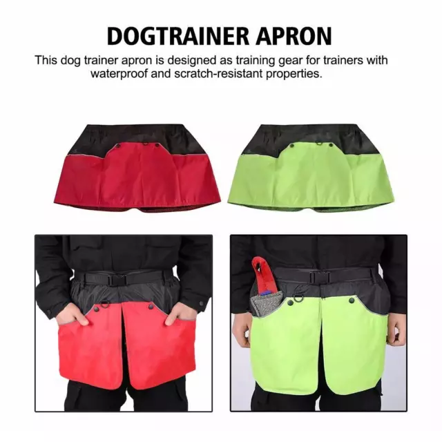 Dog Guide Nylon Workout Pants with Pockets Workout Agility✨y M1L3 Belt L3R1