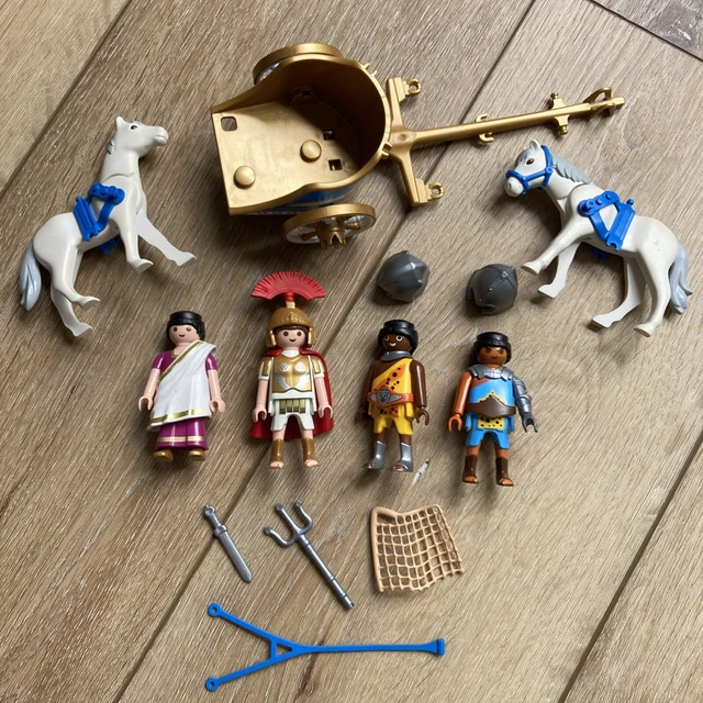 Playmobil 5837 pozidrive History