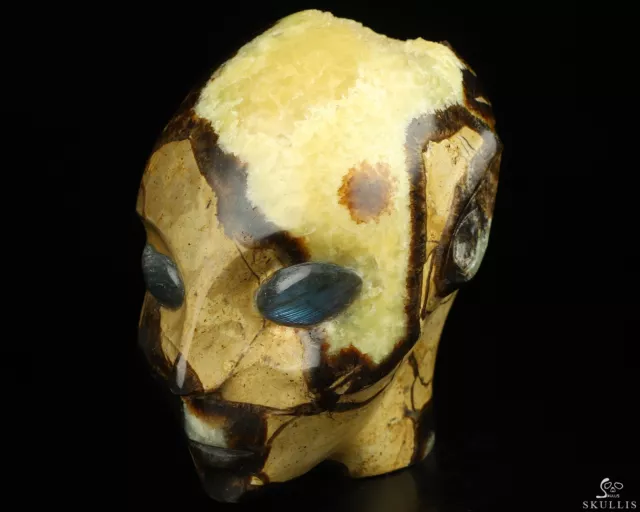 4.1" Dragon Septarian Stone Hand Carved Fairy Elf Alien Crystal Skull With Eyes