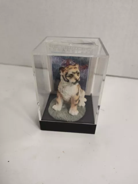 Baby Tiger Earth Home Endangered 3.5 Inches In Case