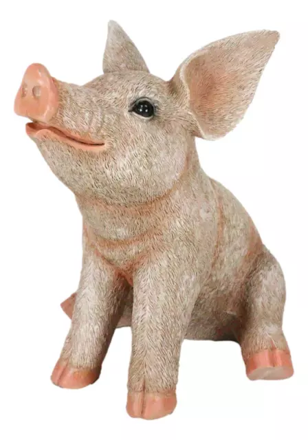 Large Country Farmhouse Adorable Realistic Animal Farm Babe Pig Sitting Statue 3