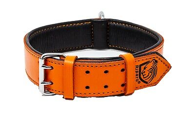 Riparo Genuine Leather Padded Dog Heavy Duty K-9 Adjustable Collar - Orange 3