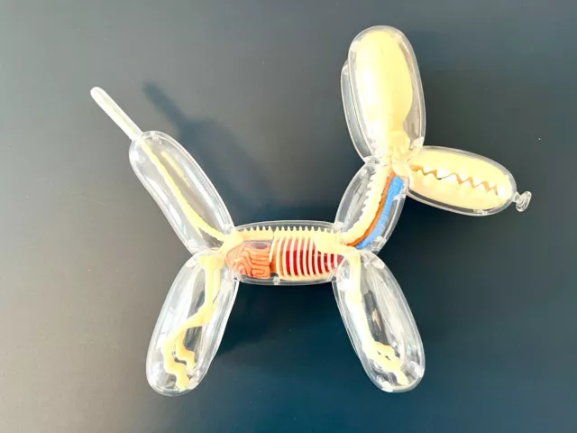 Jason Freeny 4D Balloon Dog Anatomy Sammelfigur / Collectible 2