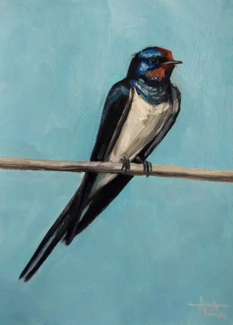 Original oil painting Bird Swallow 7x5 inches Hand painted