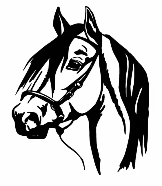 HORSEBOX    Horses picture          Vinyl Decal  Sticker  Graphics