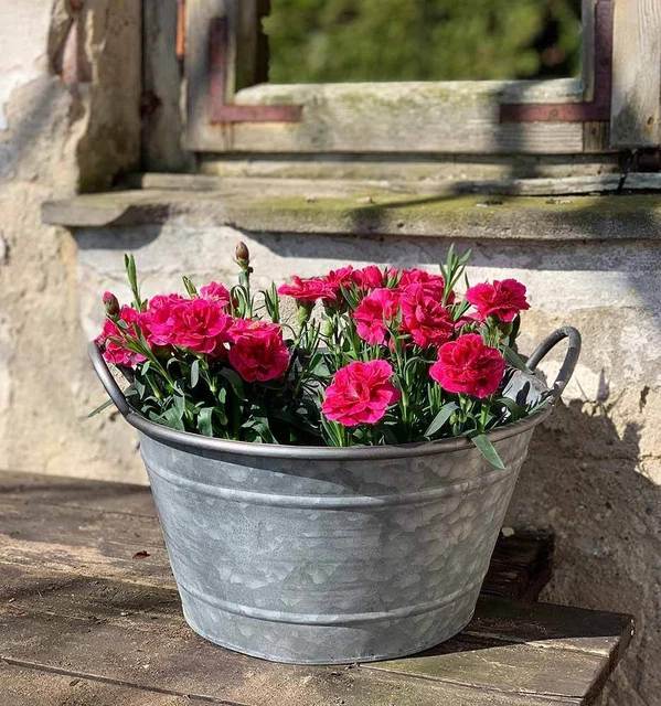 Zinkwanne Pflanztopf Wanne Zink Rund mit Griffen Vintage Landhausstil Grau