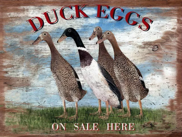 Duck Eggs,  Retro Metal Tin Sign Poster Plaque Garage Wall Decor A4