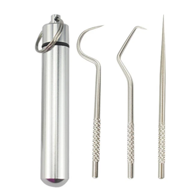 Stainless Steel Toothpick Set w/Portable Toothpick Holder Storage Box (01) FS2#