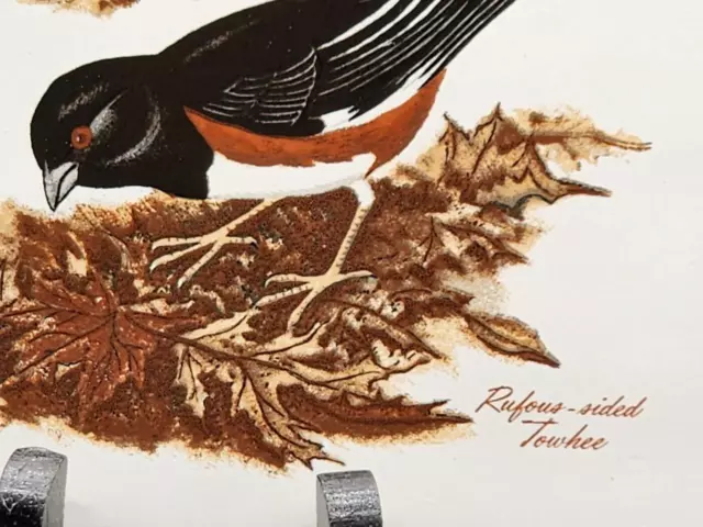 RUFOUS-SIDED TOWHEE TILE Screencraft Hand Decorated USA 6"X6" CORK BK W/BOX