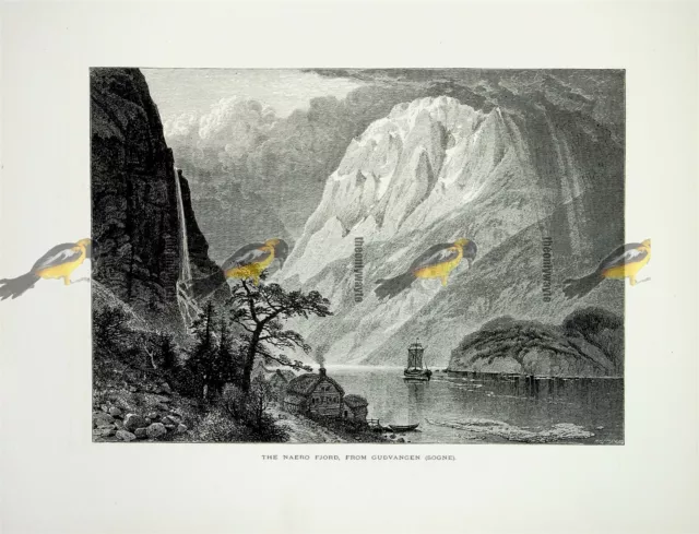 Naero Fjord aus Gudvangen (Sogne), Norwegen, Buchillustration (Druck), c1875