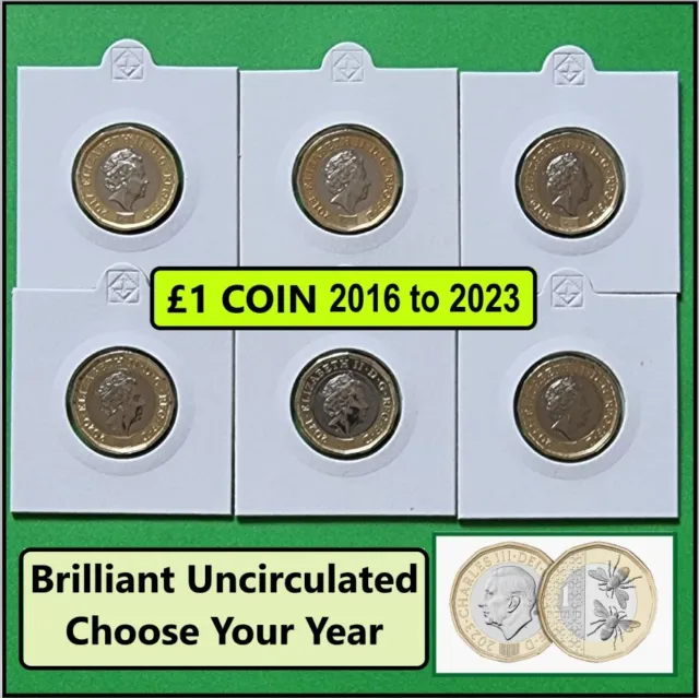 £1 One Pound Coin 2016 to 2023  Brilliant Uncirculated BUNC Floral  / Bees UK