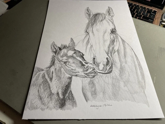 ORIGINAL ZEICHNUNG KUNST Bleistift Skizze arabisches Pferd Stute und