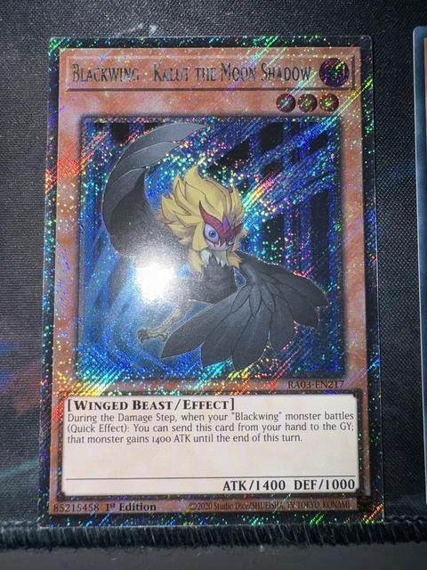Yu-Gi-Oh! - Blackwing - Kalut The Moon Shadow (RGBT-EN012) - Raging