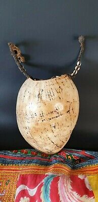 Old Papua New Guinea Kagua Shell Neck Ornament Ceremonial Necklace...