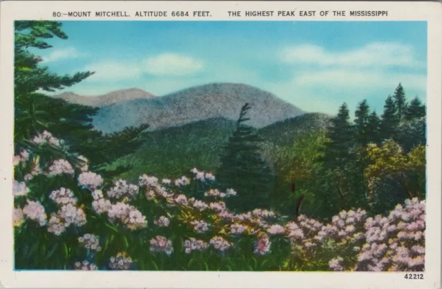 Mount Mitchell Alt 6684 ft Highest Peak Of MI White Border Vintage Post Card