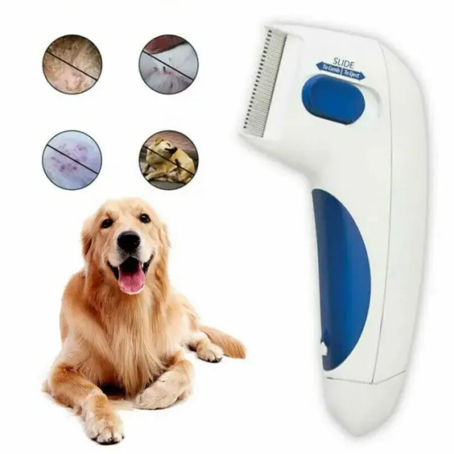 Pet Cat Dog Electric Terminator Brush Anti Removal Kill Lice Cleaner Electric