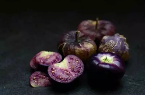 TOMATILLO PURPLE - PHYSALIS IXOCARPA, 25 graines + GRATUIT