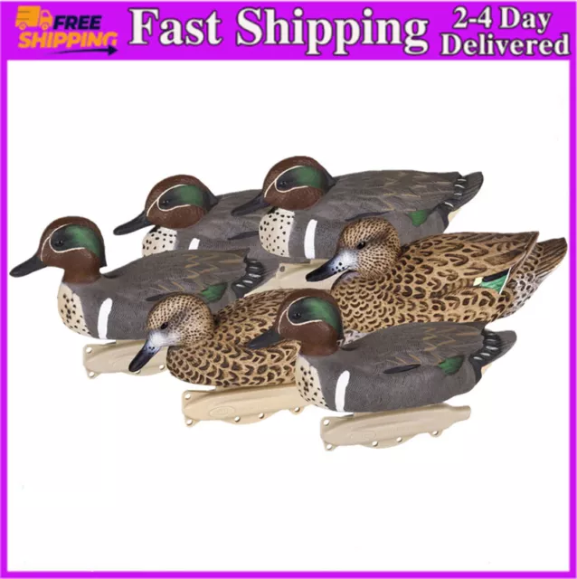 8015SUV Green Wing Teal,10.5 inch, Waterfowl Decoy 6 Pack,Outdoor
