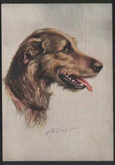 Cigarette card postcard Irish Wolfhound dogs 1930's