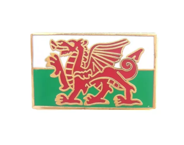 Wales Welsh Cymru St Davids Day Dragon Oblong Enamel Lapel Pin Badge T927
