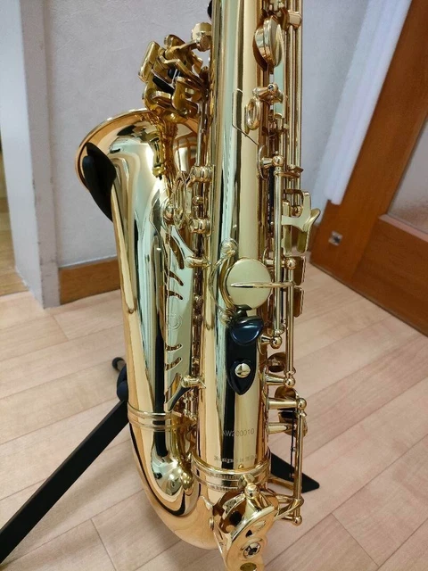 Cannonball alcazar alto saxophone deals