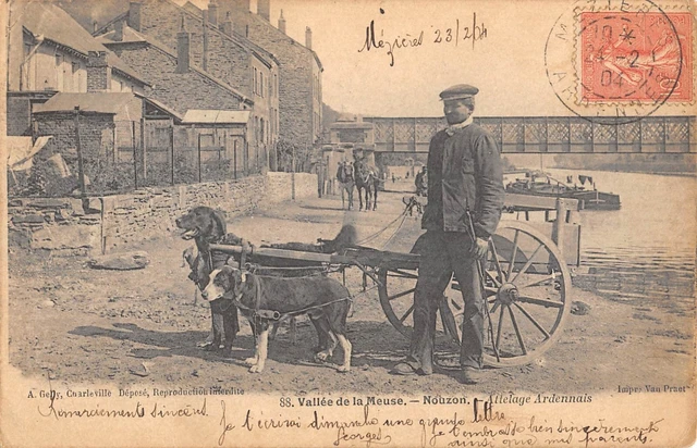 CPA 08 VALLEE DE LA MEUSE NOUZON APLAGE ARDENNAIS (chiens coupling)