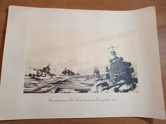 Elio Andò REGIA MARINA stampa CACCIATORPEDINIERE DA NOLI (1940-1943)