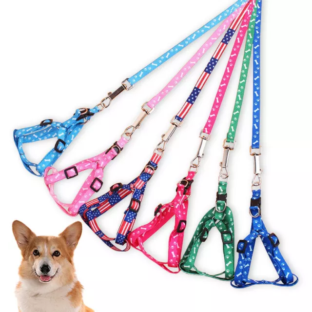 1CM Width Small Pet Dog Cat Print Rope Lead Leash Harness Adjustable Chest S-xd