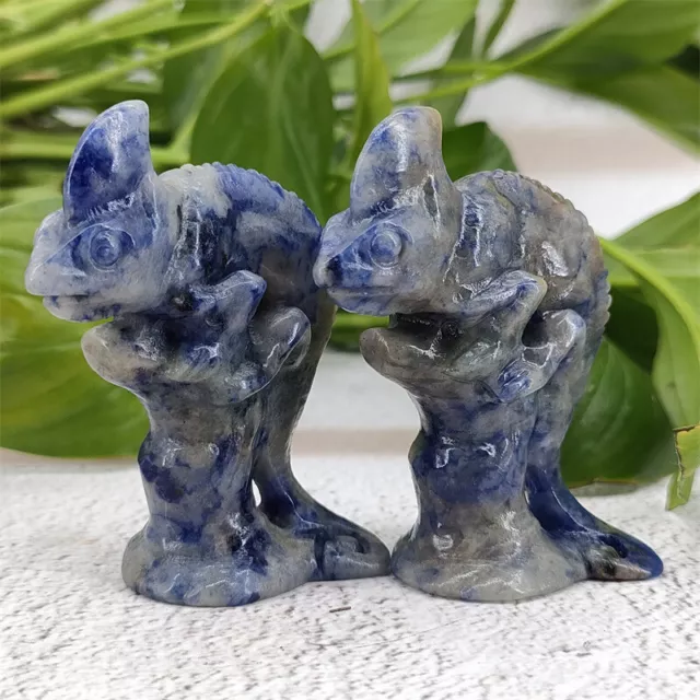 A+++ 2.4" Natural Sodalite Carved Chameleon Quartz Crystal Skull home decor 1pc