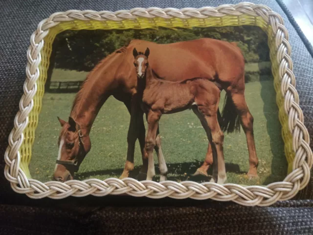 Bandeja vintage para caballos década de 1970 12,5""x9"" retro