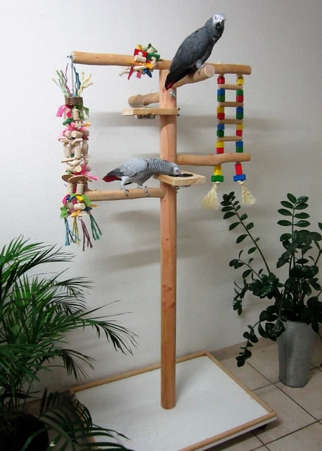 Freisitz für Papageien a. Buchenholz,Papageienspielzeug,mittlere/große Papageien